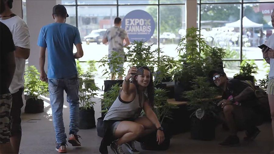Além da Expocannabis: Turistas chegam em peso no Uruguai para ver a maconha nas farmácias, bancos de sementes e conhecer os cultivadores