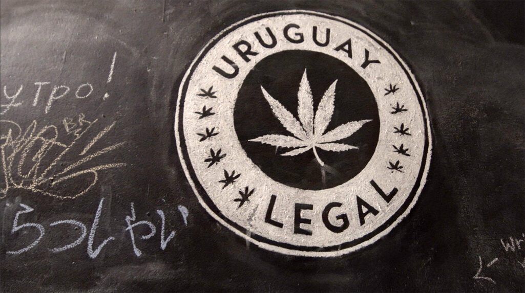 Quer fazer Montevideo? Te apresentamos a Weed Tour Uruguai.
