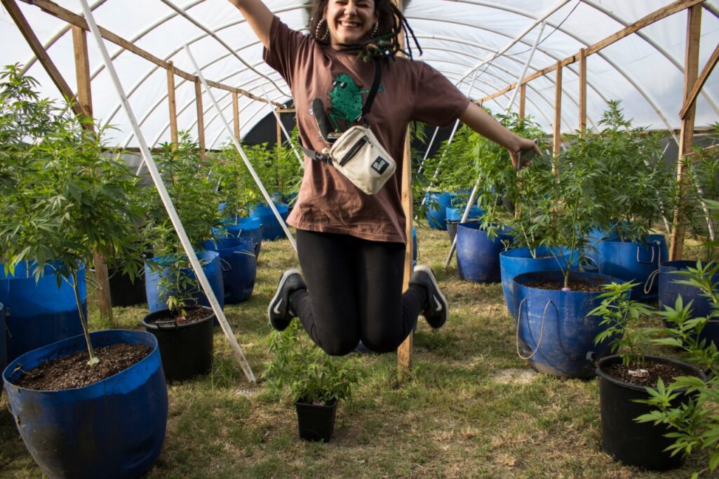 Nah Brisa visitou uma plantação de maconha legal!