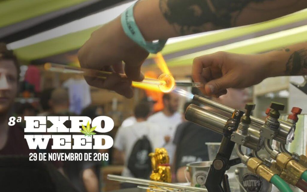 ExpoWeed no Chile é o novo destino canábico da WeedTour