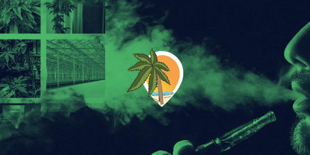 Menos 20k: O Instagram está suspendendo as contas cannabis outra vez!