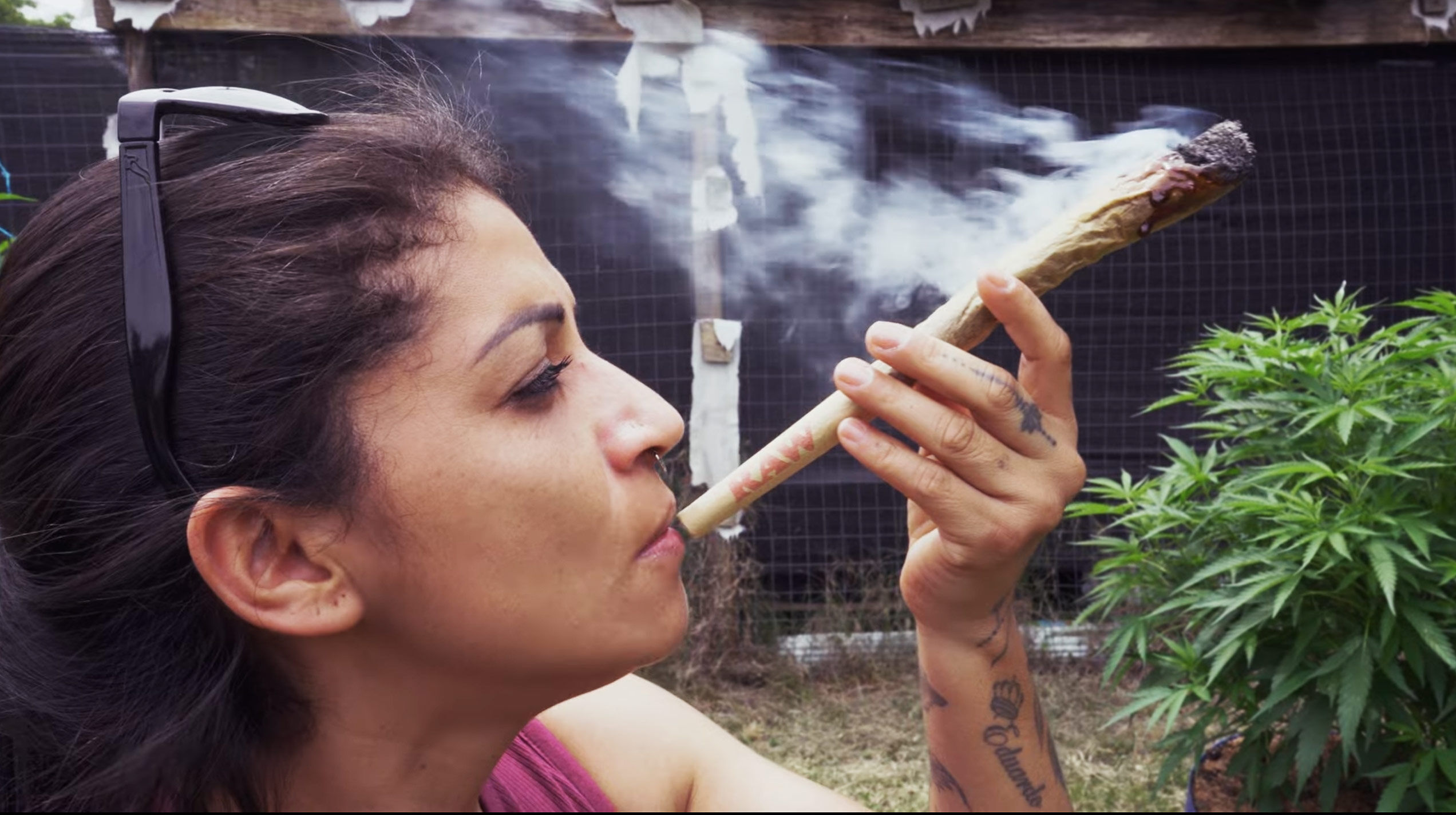 Cannabis Monitor publicou um vídeo da Expocannabis com Weed Tour